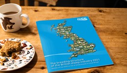 Sheep Breed Survey 2021